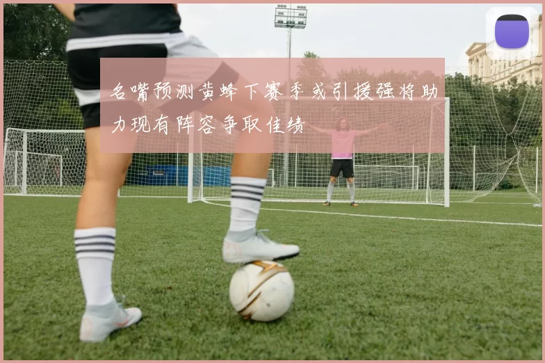 名嘴预测黄蜂下赛季或引援强将助力现有阵容争取佳绩